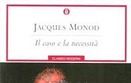Il caso e la necessità