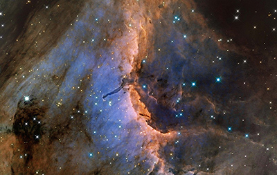 Una nursery a forma di pellicano
